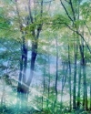 Tegos.ru_02 (2)