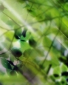 Tegos.ru_02 (5)