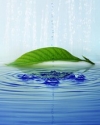 Tegos.ru_02 (6)