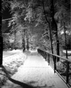 Tegos.ru_02 (13)