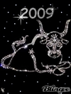 2009