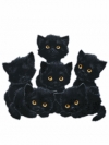 кошки