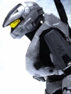 Grey_Spartan