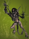 games_240x320 (7)