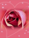 moblo_240x320_flowers (9)