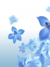 moblo_240x320_flowers (18)