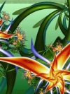 moblo_240x320_flowers (21)