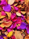 flower_moblo