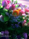 flower_moblo (1)
