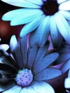 flower_moblo (7)