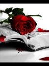 flower_moblo (15)