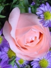 flower_moblo (16)