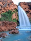 nature_moblo (1)