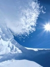nature_moblo (2)