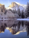 nature_moblo (4)