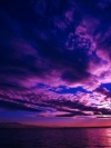nature_moblo (5)