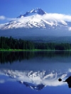 nature_moblo (7)