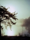 nature_moblo (8)
