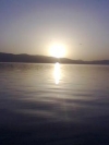 nature_moblo (9)