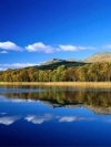 nature_moblo (11)