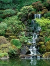 nature_moblo (12)