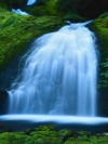 nature_moblo (13)