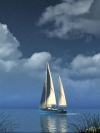 nature_moblo (16)