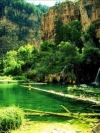 nature_moblo (17)