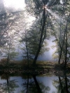nature_moblo (18)