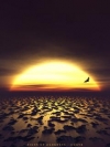 nature_moblo (19)