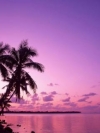 nature_moblo (20)