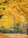 nature_moblo (21)