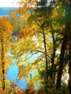 nature_moblo (22)