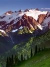 nature_moblo (24)