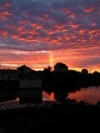 nature_moblo (26)