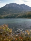 Nature_240x320 (3)