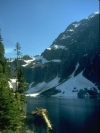 Nature_240x320 (5)