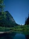 Nature_240x320 (7)