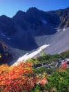 Nature_240x320 (11)