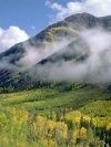Nature_240x320 (12)