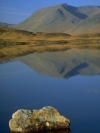 Nature_240x320 (14)