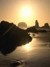 Nature_240x320 (15)