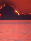 Nature_240x320 (17)