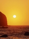 Nature_240x320 (18)