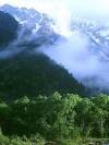 Nature_240x320 (19)