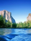 Nature_240x320 (20)