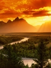 Nature_240x320 (23)