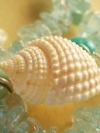 animals_240x320_moblo (15)