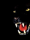 animals_240x320_moblo (17)