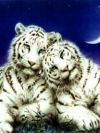 animals_240x320_moblo (23)